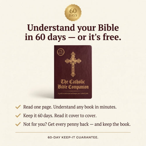 The Catholic Bible Companion