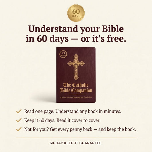 The Catholic Bible Companion