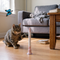 The Butterfly Flutter Cat Toy
