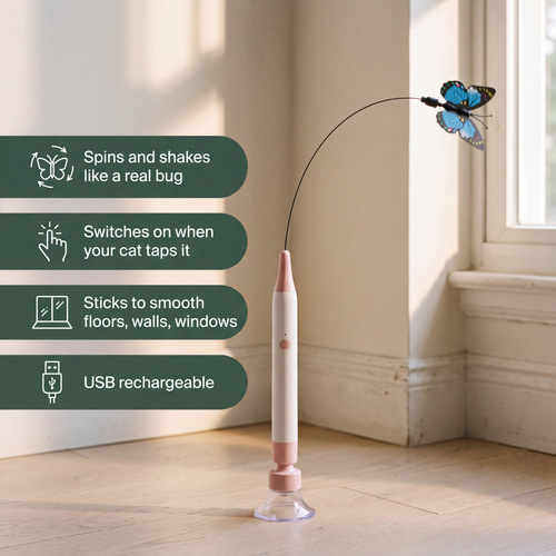 The Butterfly Flutter Cat Toy
