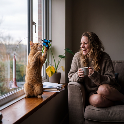 A ginger cat batting the Butterfly Flutter Cat Toy stuck to a window while a woman laughs on the sofa
