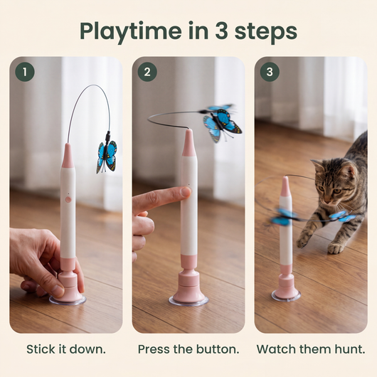 Playtime in 3 steps: stick it down, press the button, watch them hunt