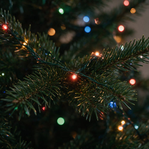 Novum Smart Christmas Tree Lights