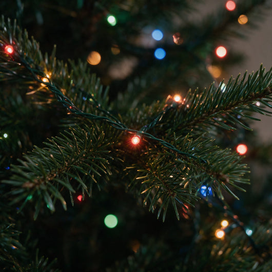 Close-up of the light string on tree branches