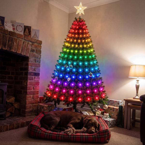 Multicolour tree lights on a Christmas tree beside a fireplace, a dog asleep in front
