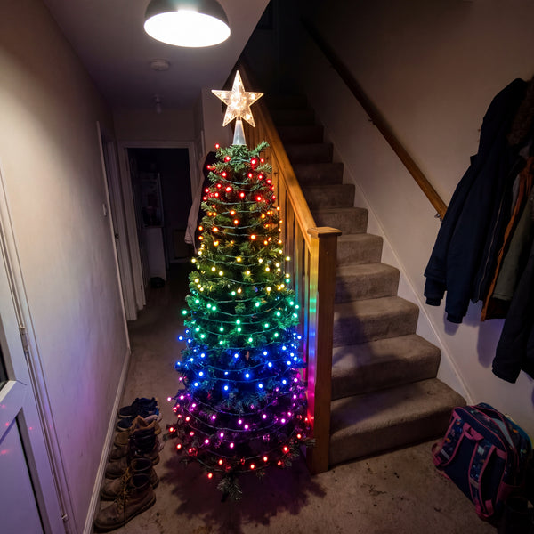 Multicolour tree lights on a slim Christmas tree in a hallway