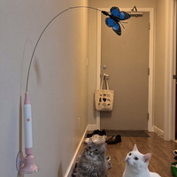 Review image 1