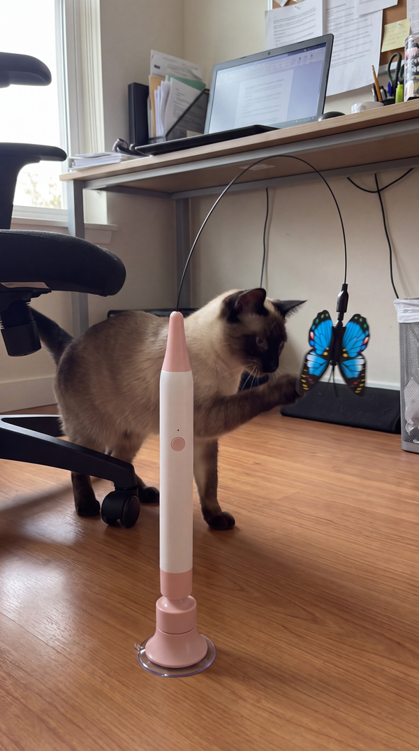 A Siamese cat batting the Butterfly Flutter Cat Toy in a home office