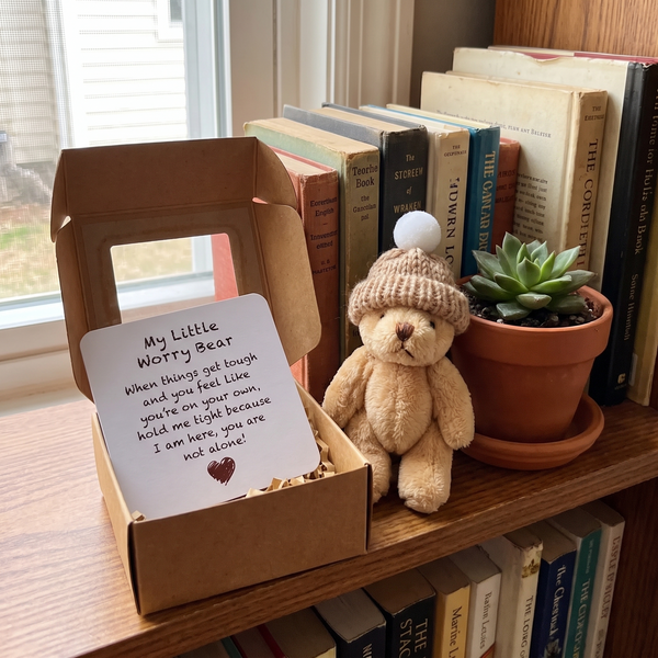 Novum Worry Bear on a bookshelf beside a succulent